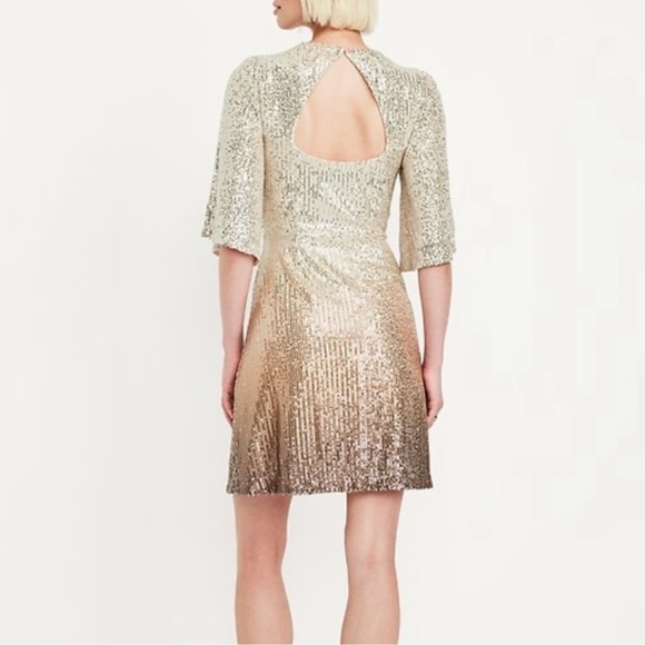 Sequin Dress in Gold and Brown Ombre - Picture 3 of 9
